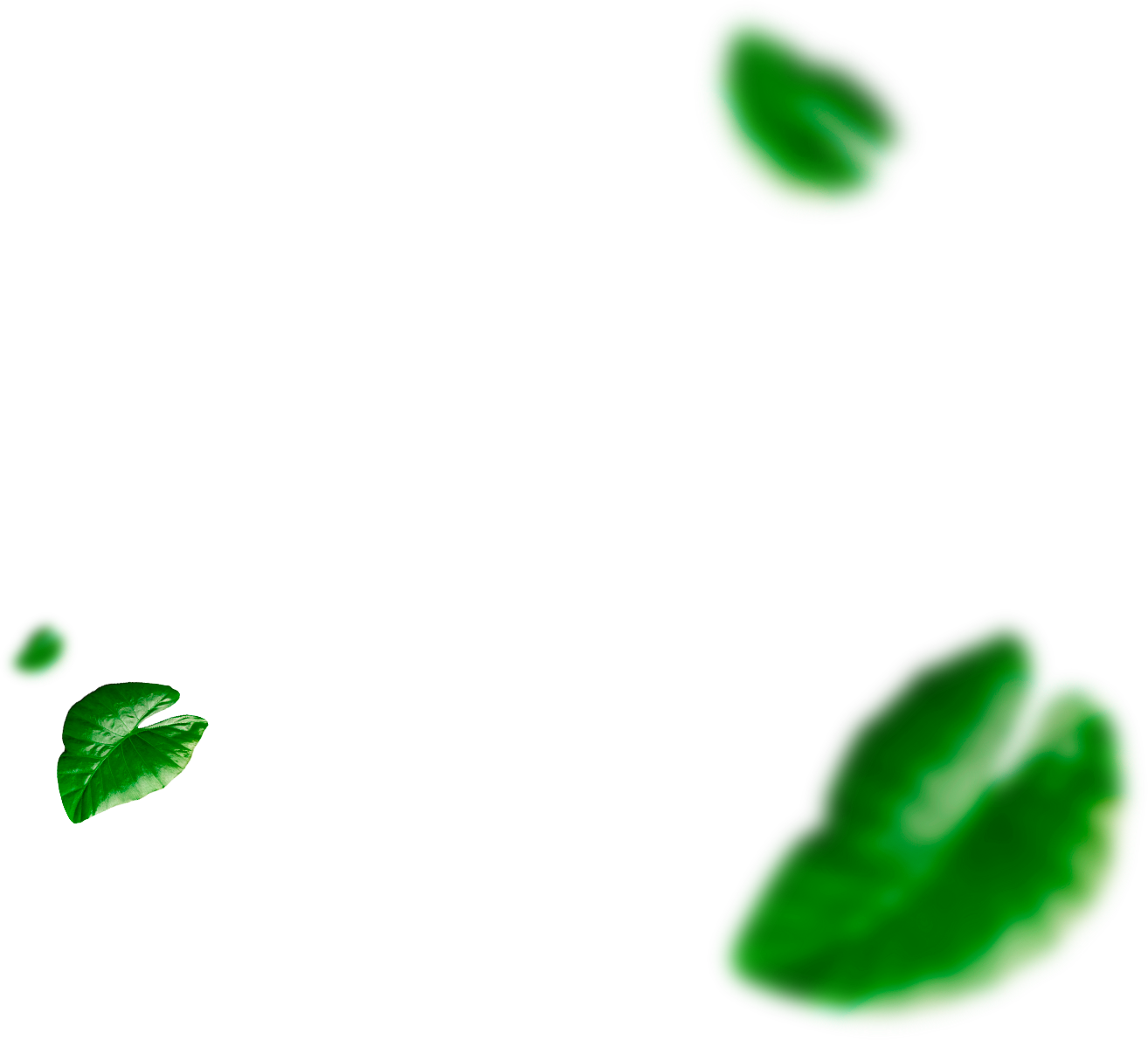 Paraíso%20Agrícola